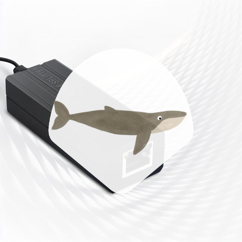 Divisor POE de 48V a 12V, Sali - Power Over Ethernet reseña y precio